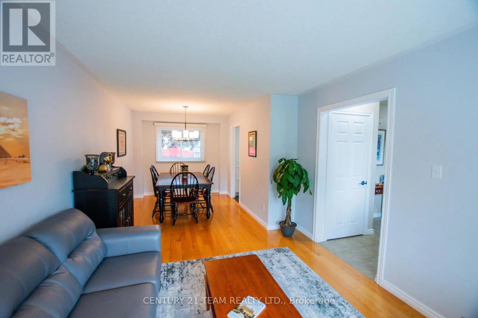 17 RUDDELL CRESCENT
