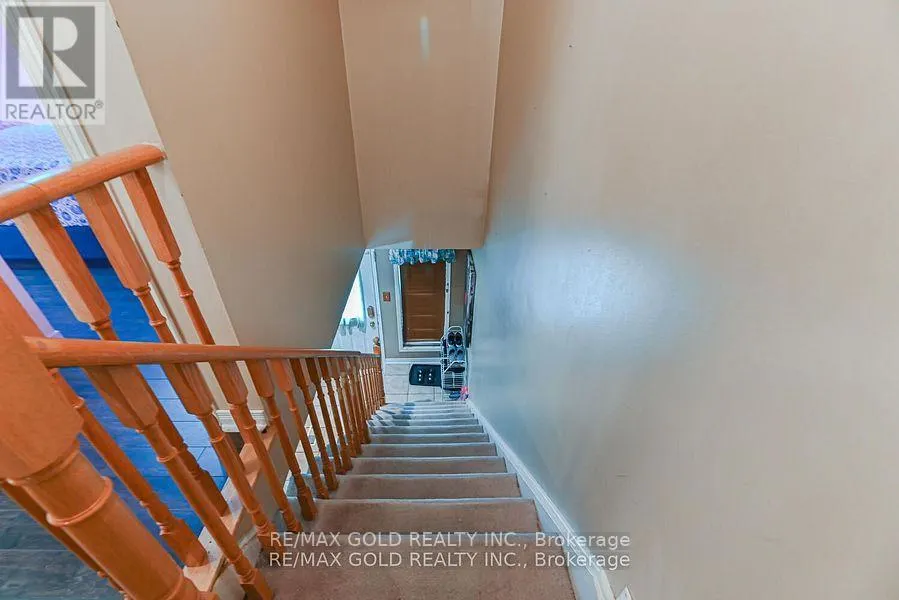 43 GIRAFFE AVENUE