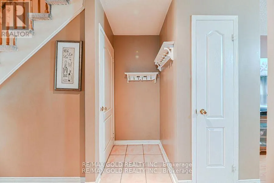 43 GIRAFFE AVENUE
