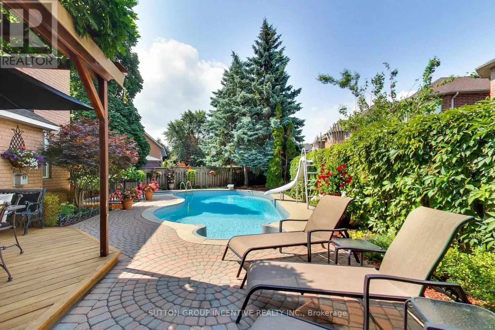 11 SAFARI COURT