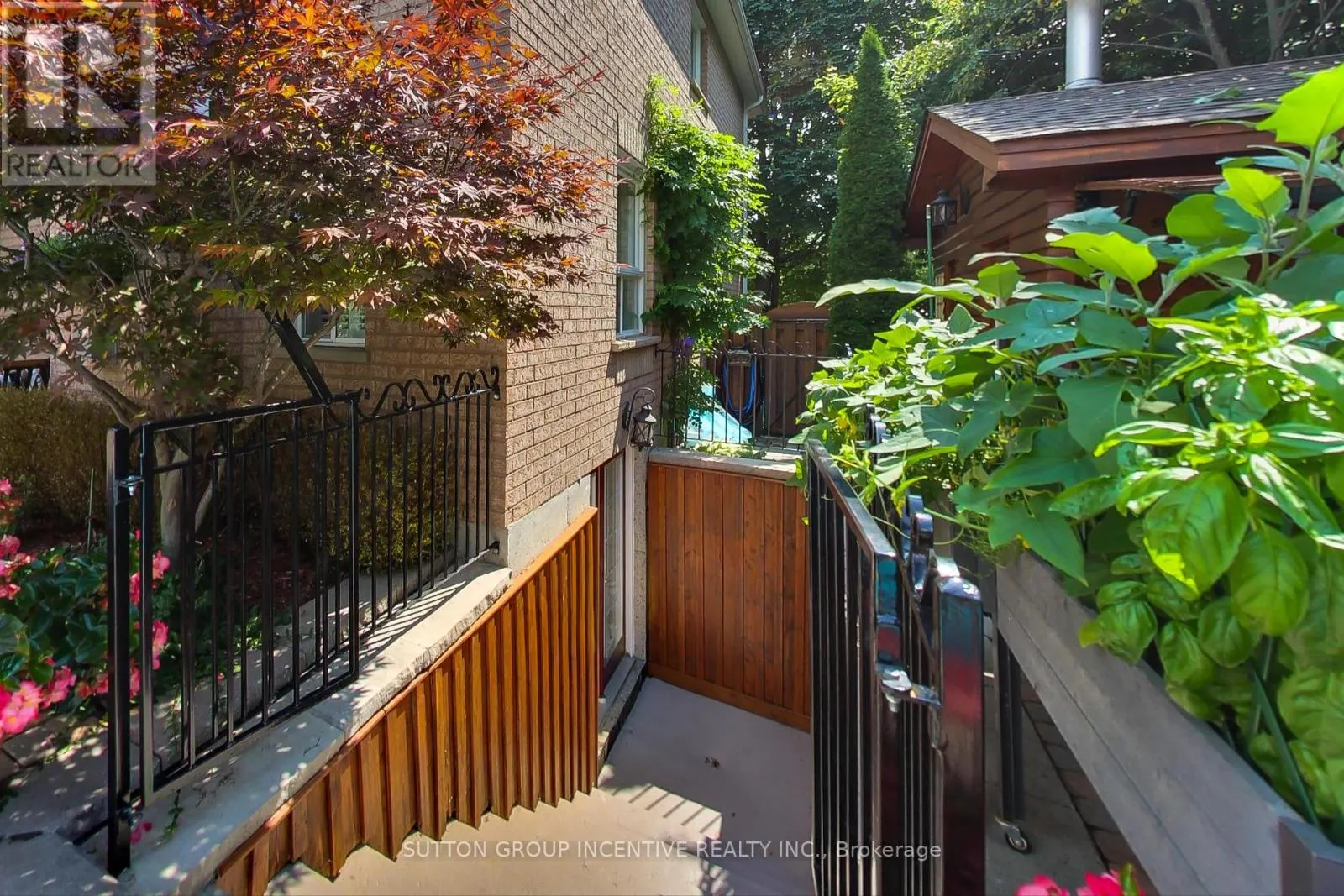 11 SAFARI COURT