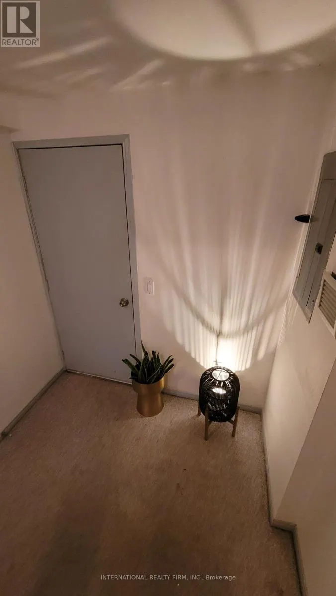 #BASEMENT - 230 ROSEMOUNT AVENUE