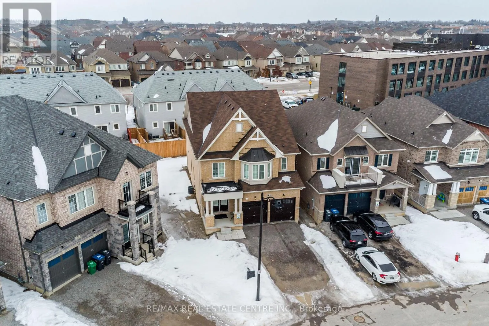 50 ROYAL FERN CRESCENT