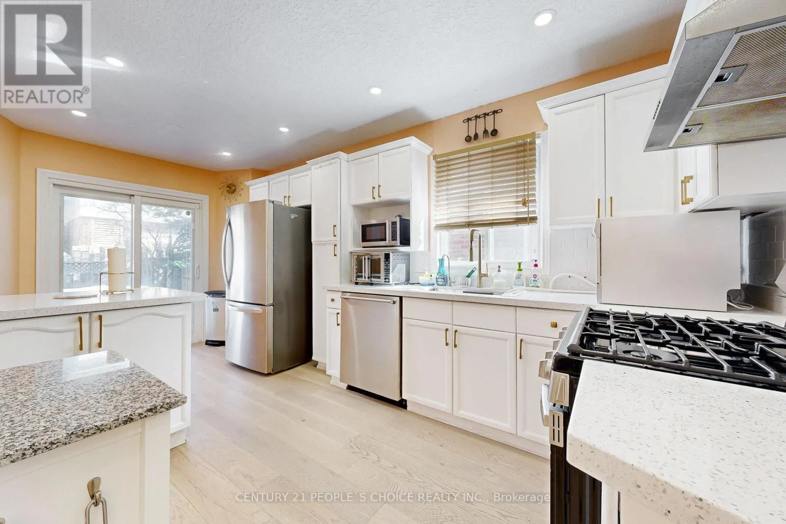 19 MCKITRICK DRIVE