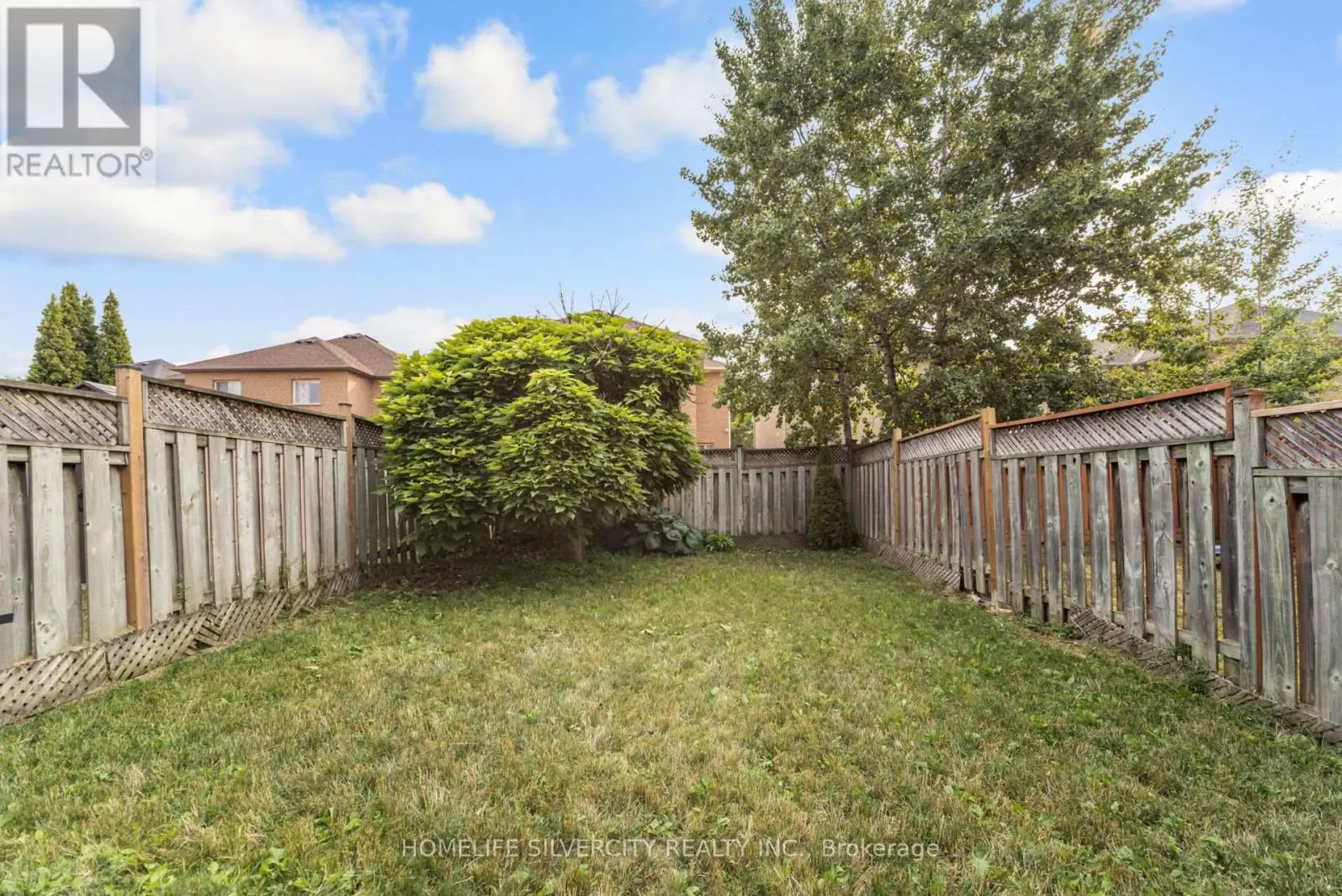 85 DANDELION ROAD