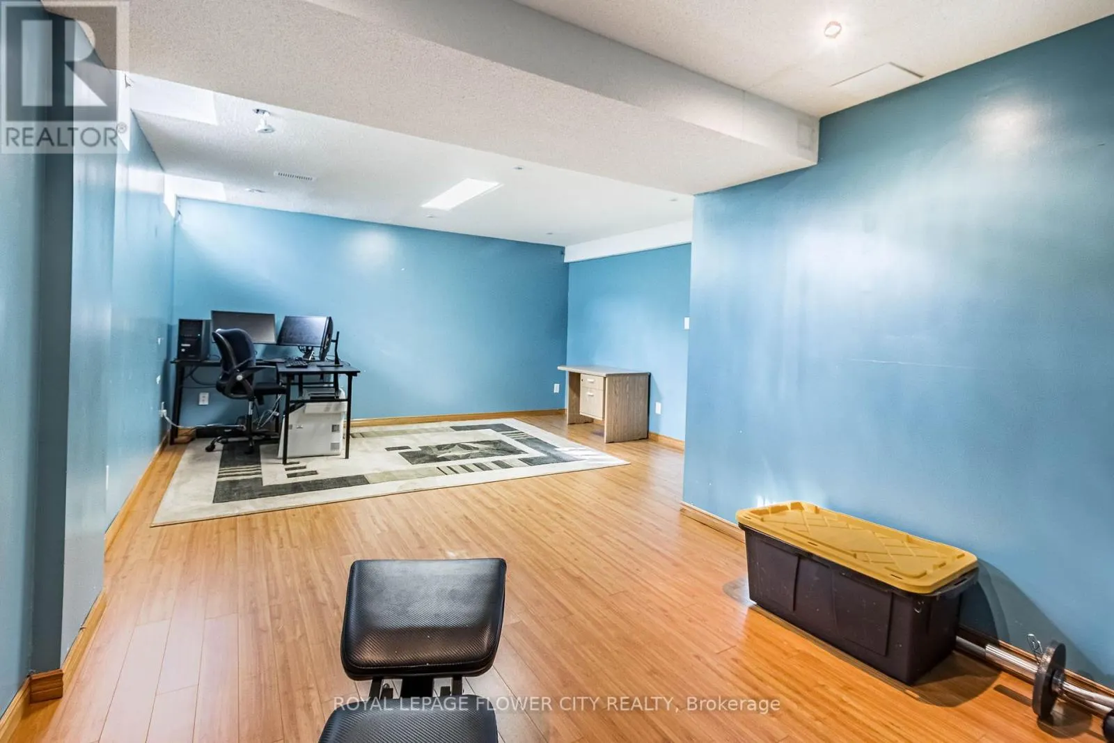 51 BLUE WHALE BOULEVARD