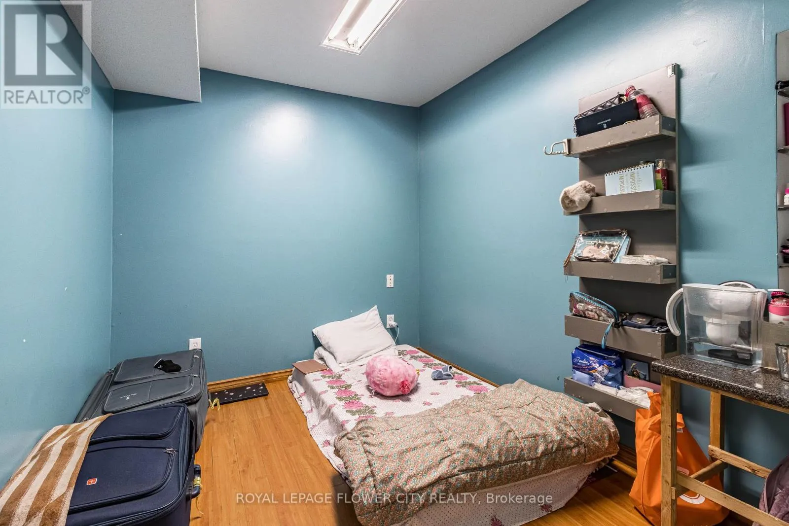 51 BLUE WHALE BOULEVARD