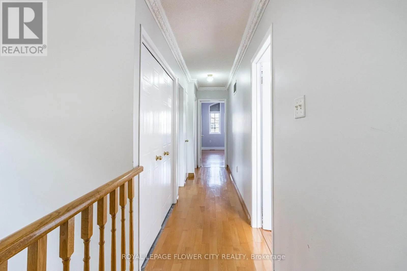 51 BLUE WHALE BOULEVARD