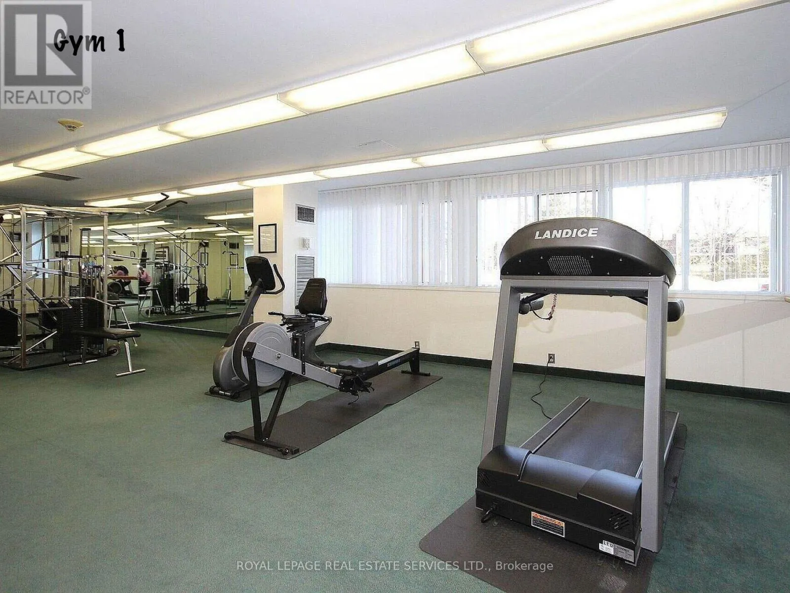 203 - 1300 MISSISSAUGA VALLEY BOULEVARD