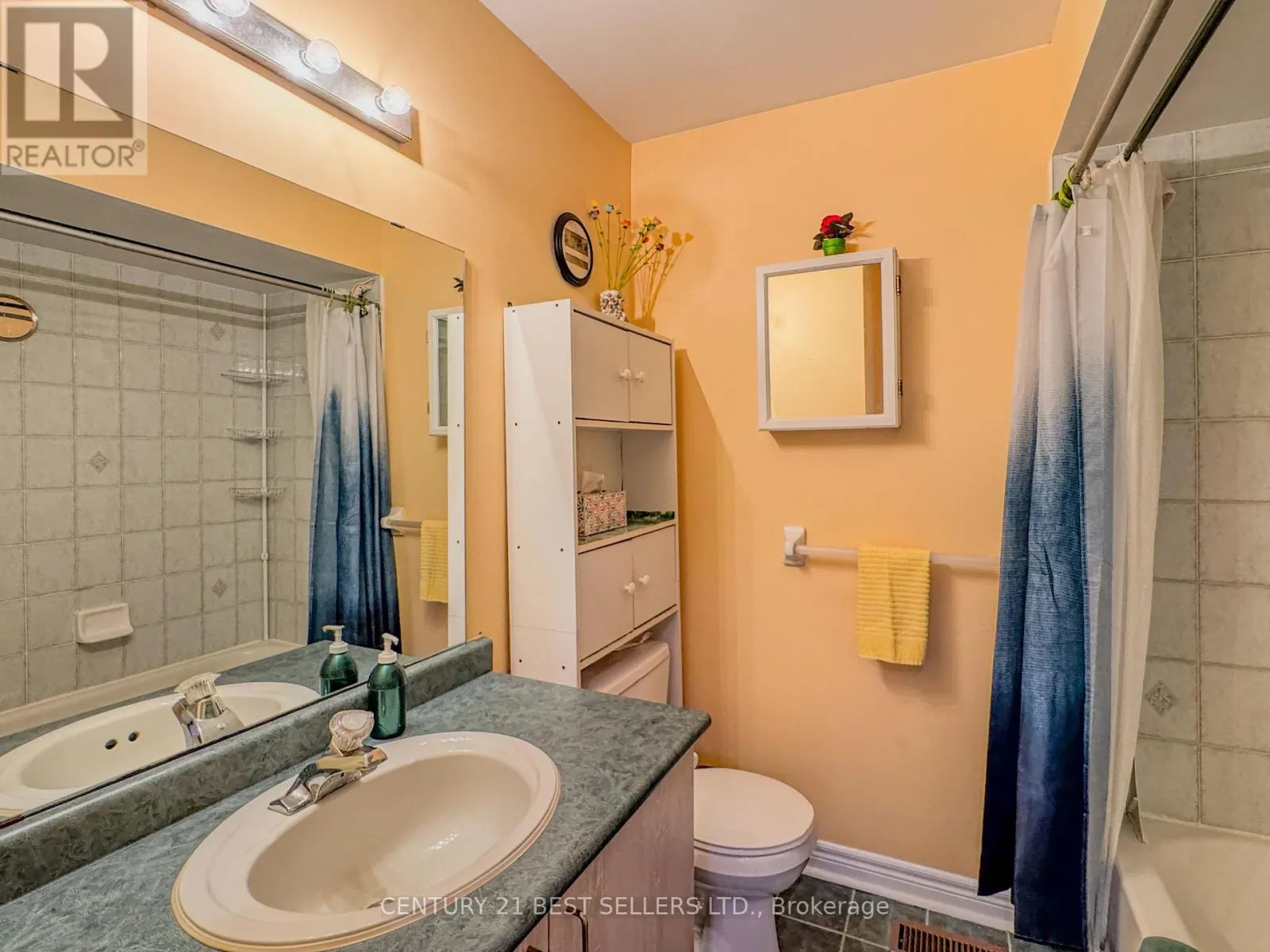 5347 RED BRUSH DRIVE