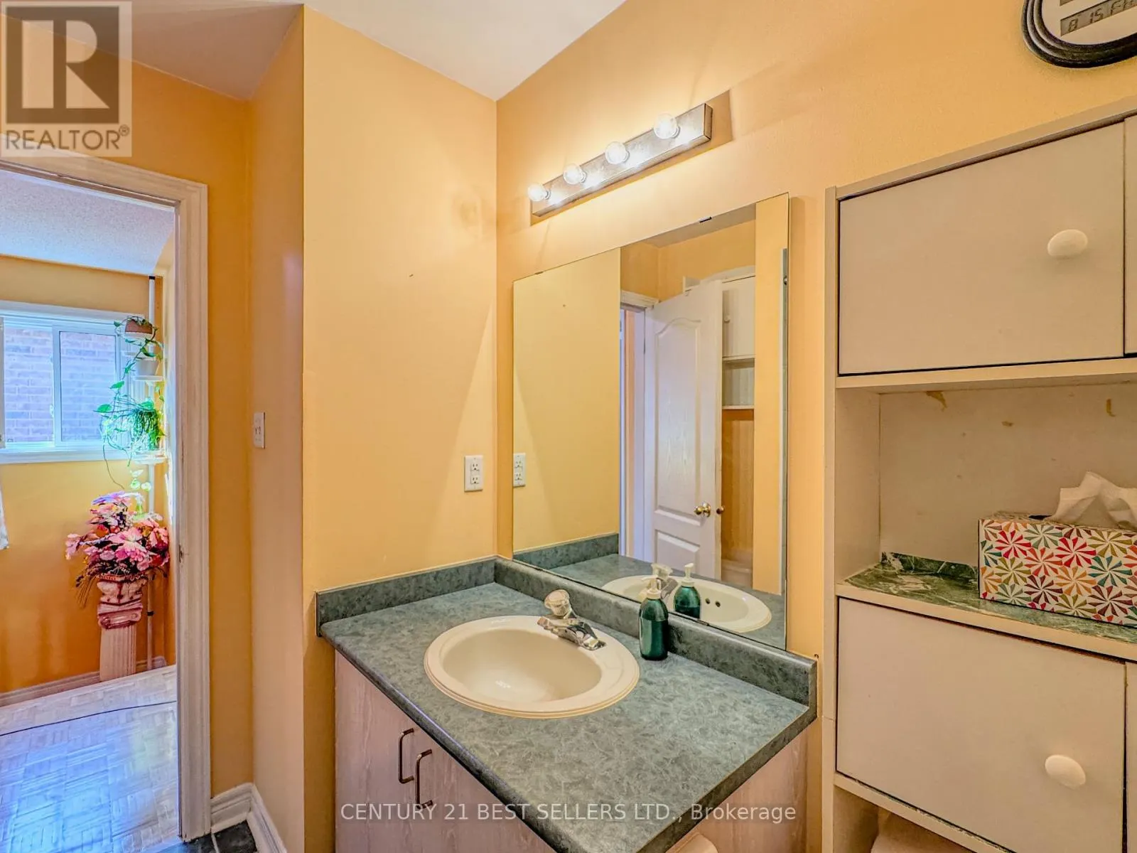 5347 RED BRUSH DRIVE