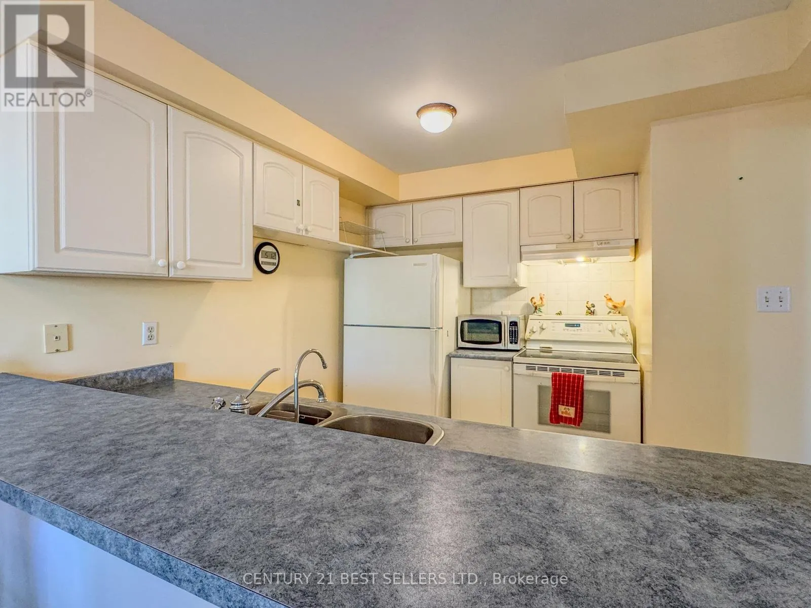 5347 RED BRUSH DRIVE