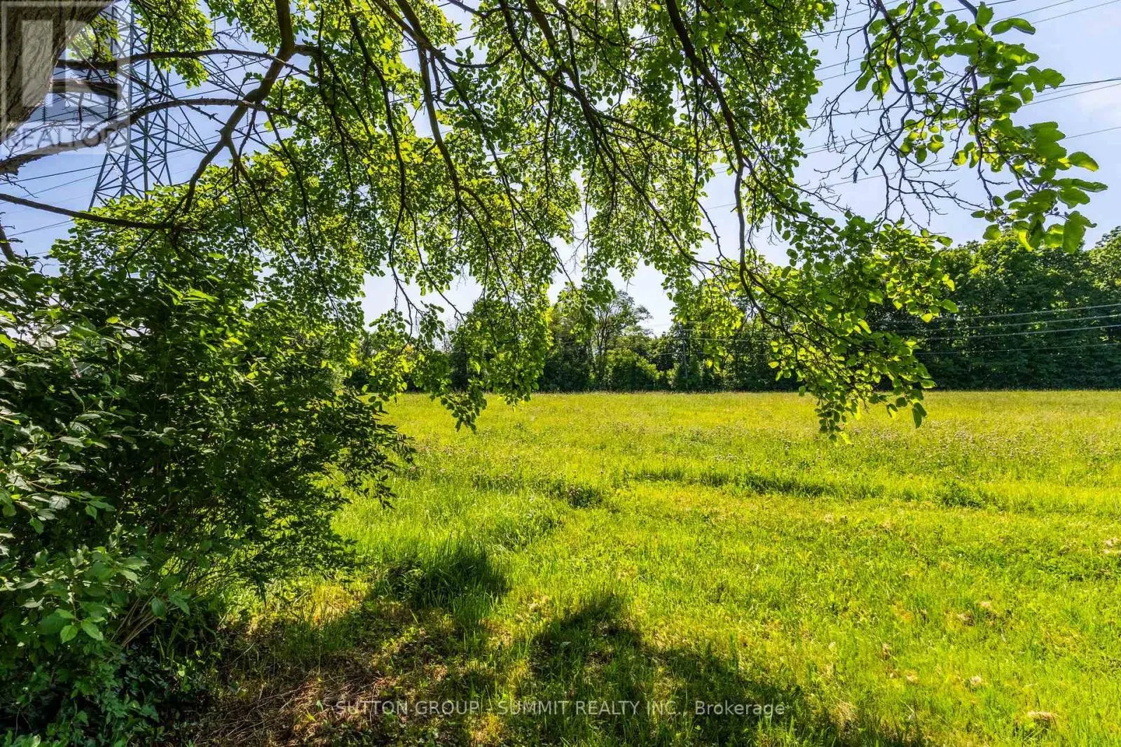2411 MOUNT FOREST DRIVE