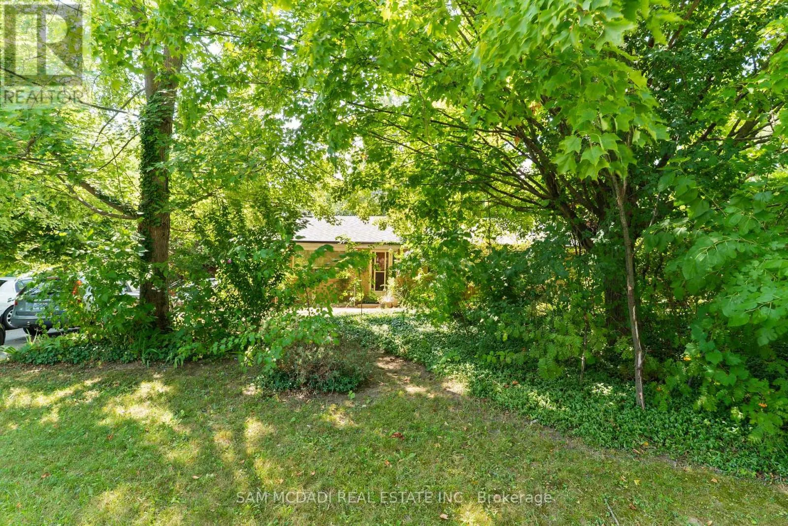 1610 MAGENTA COURT
