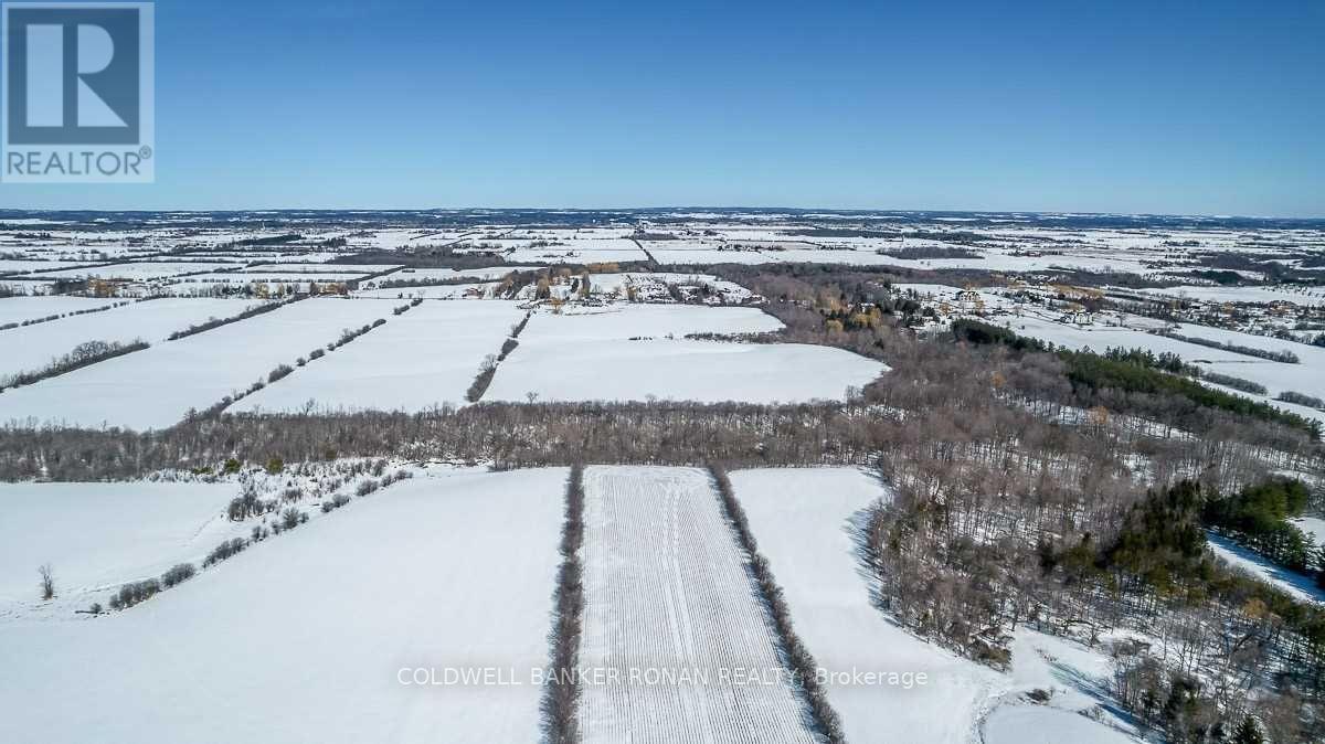 Listing W5952441 - Large Photo # 14