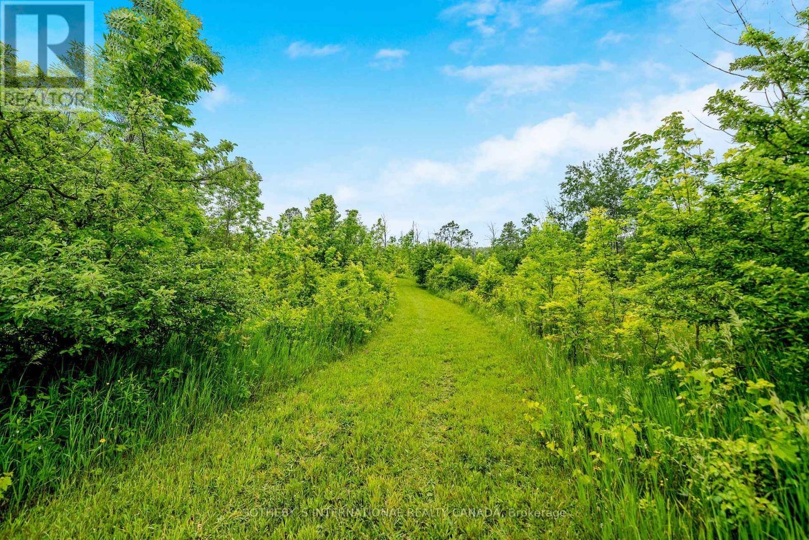 Listing W6217376 - Large Photo # 37