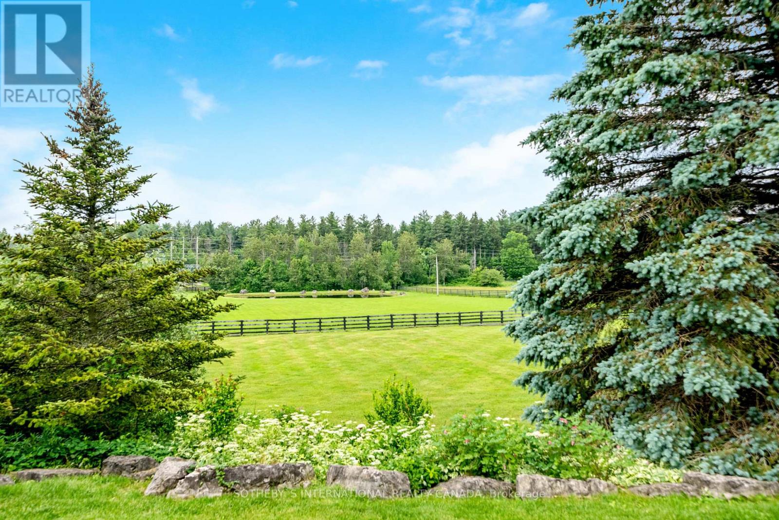 Listing W6217376 - Large Photo # 3