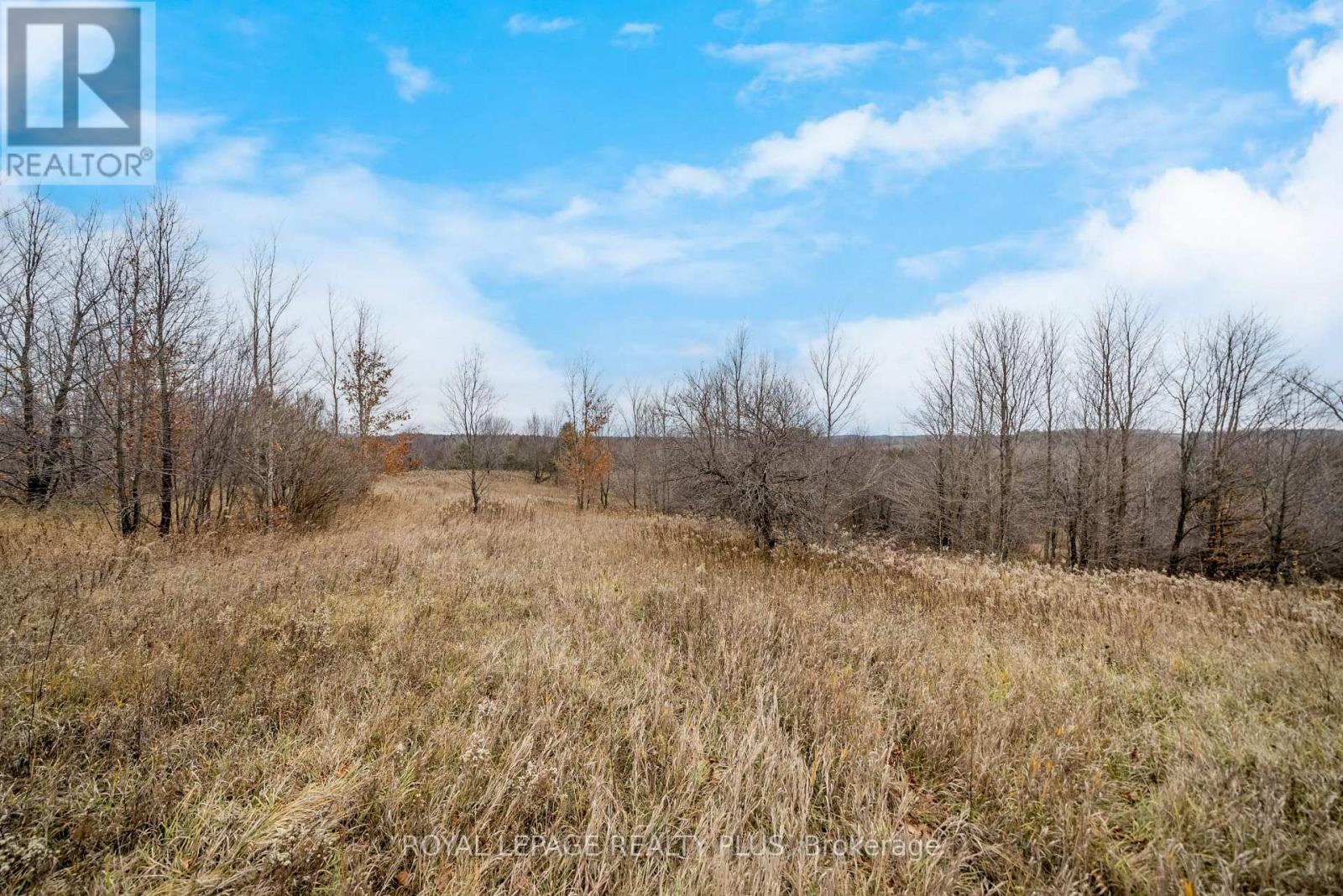 21346 SHAWS CREEK RD