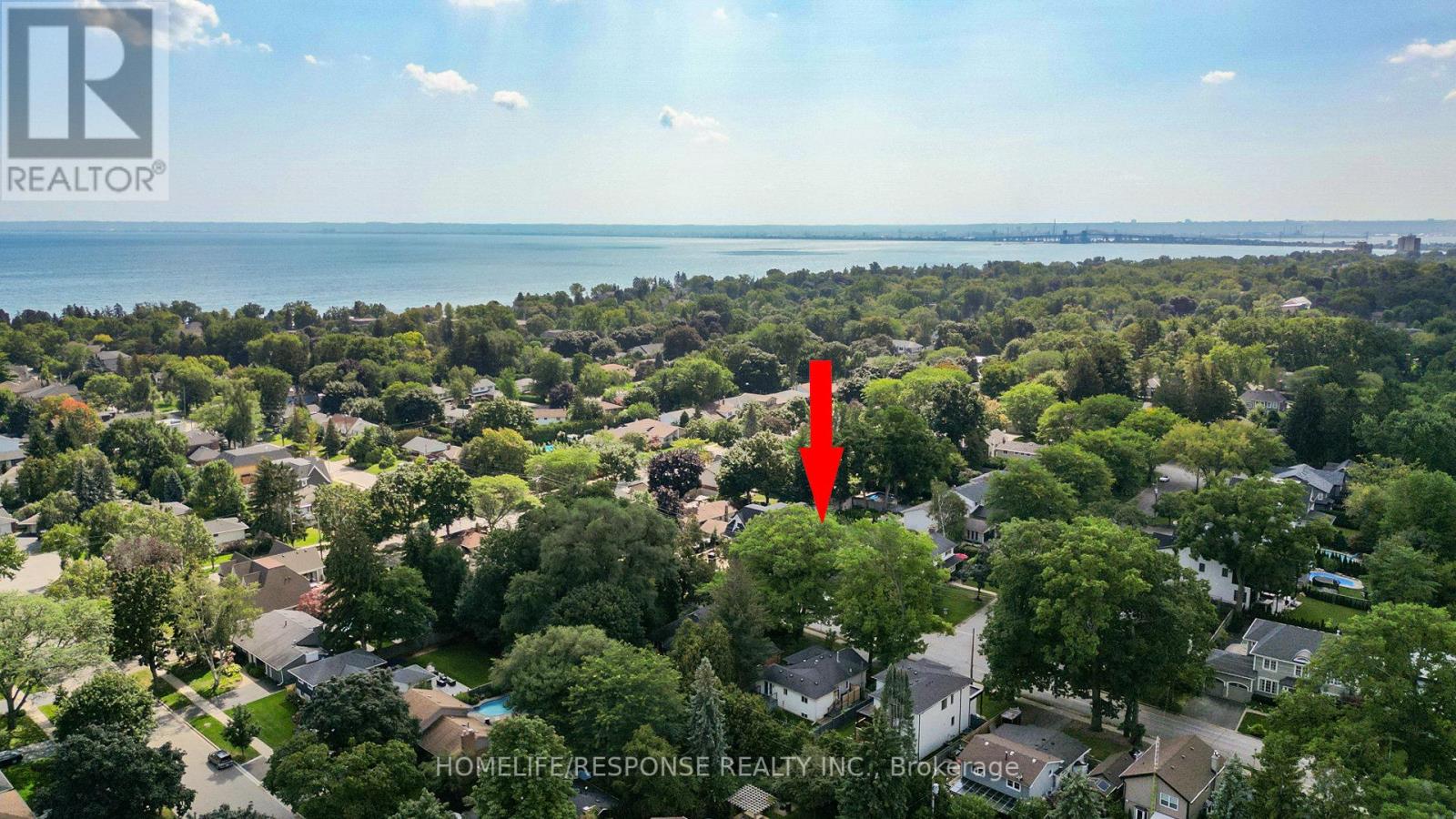 339 PINE COVE RD