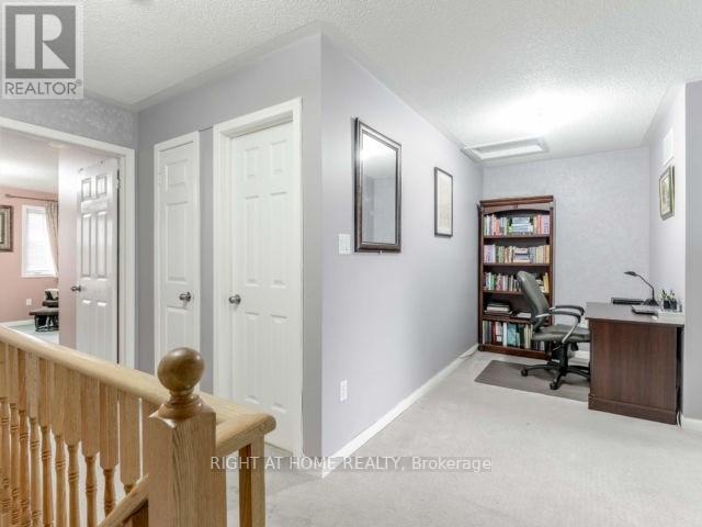 787 AVOCADO CRES