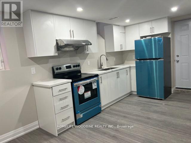 #BSMT -210 ECCLESTONE DR, #Bsmt