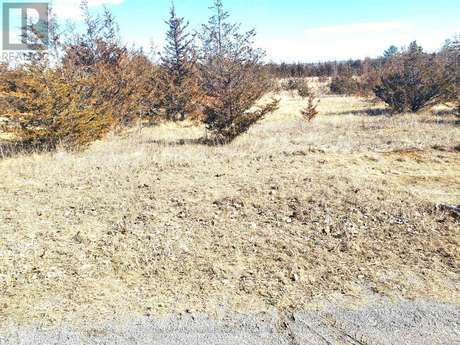 521 HWY 41