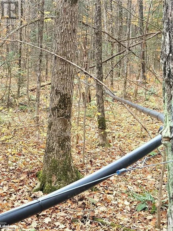 0 HAINES LAKE ROAD