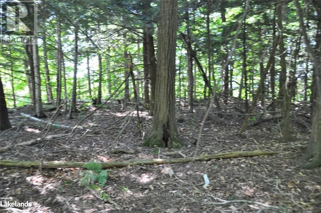 LOT 21 BAYSHORE ROAD