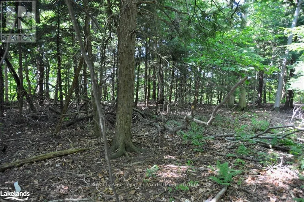 LOT 21 BAYSHORE ROAD