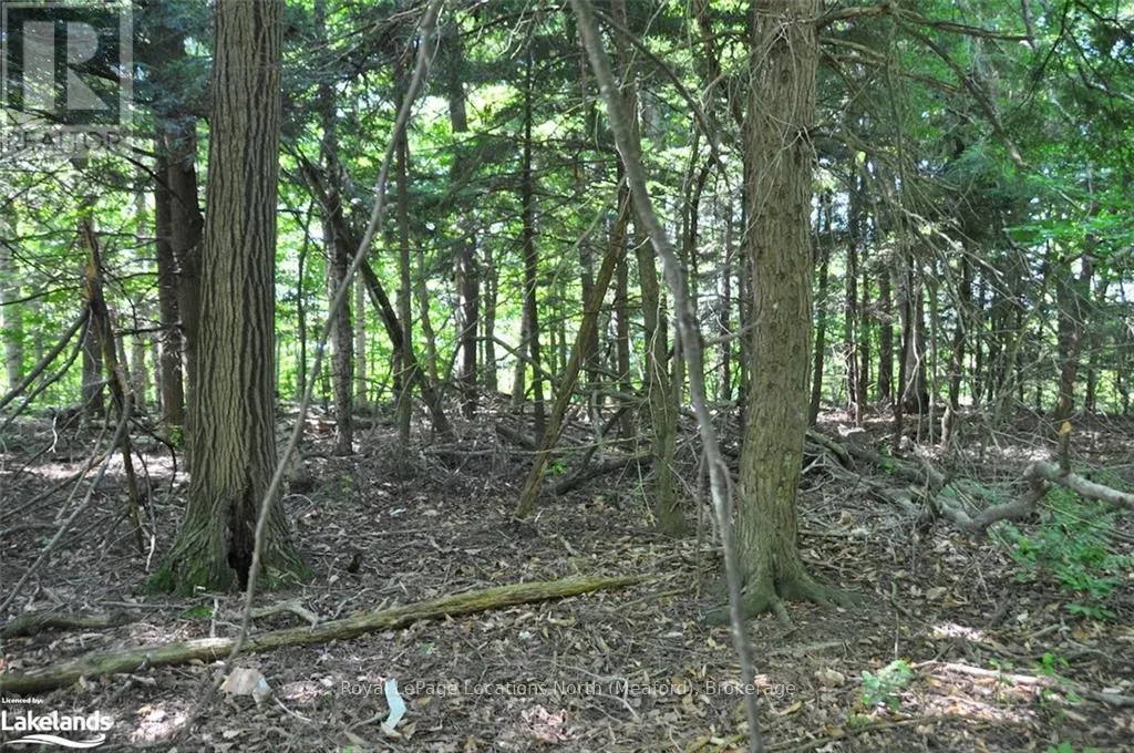 LOT 21 BAYSHORE ROAD