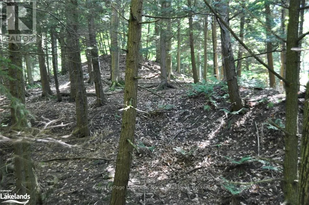 LOT 21 BAYSHORE ROAD