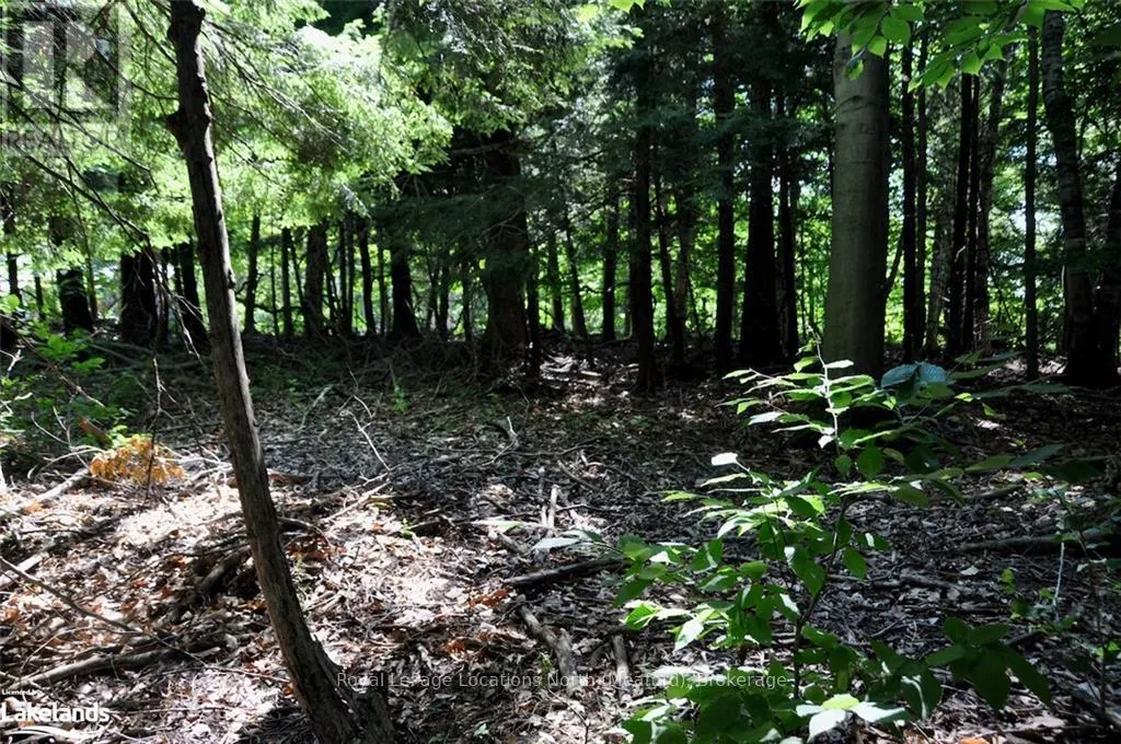 LOT 21 BAYSHORE ROAD