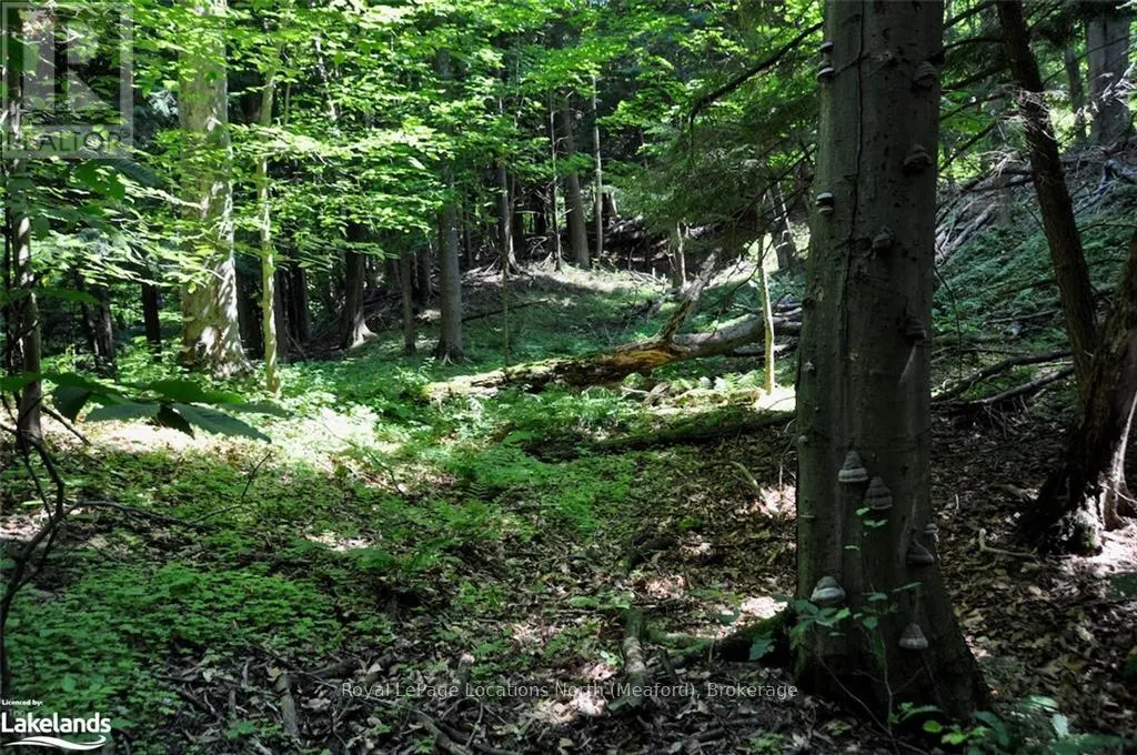 LOT 21 BAYSHORE ROAD