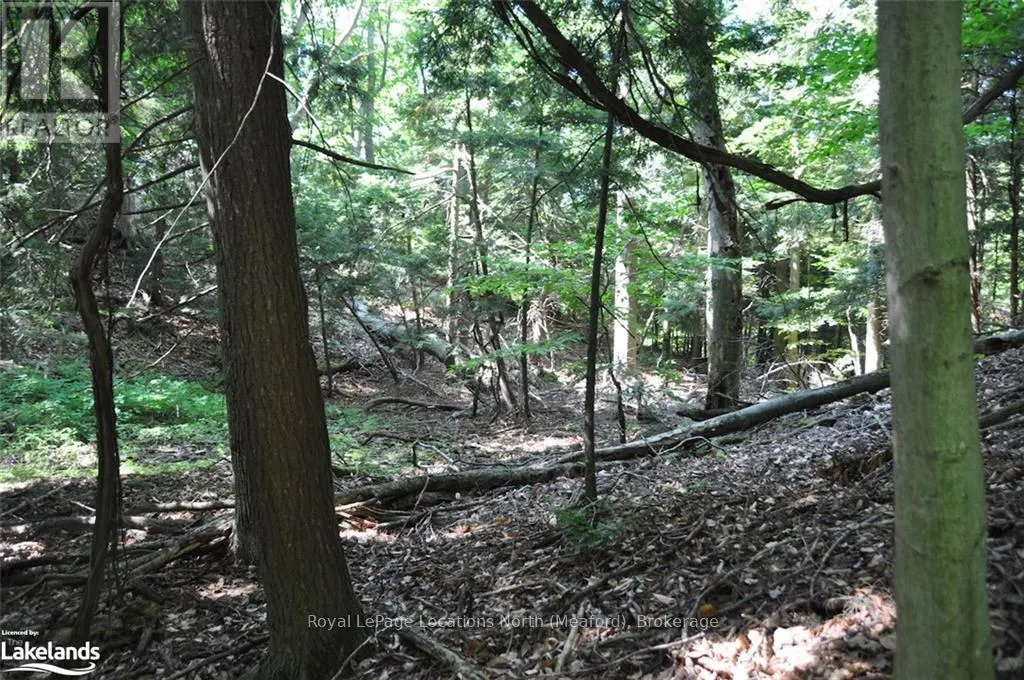 LOT 21 BAYSHORE ROAD