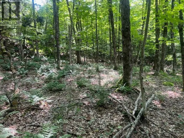 126 HIGHWAY 559