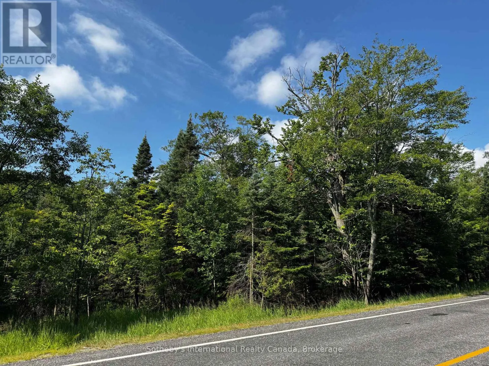 126 HIGHWAY 559