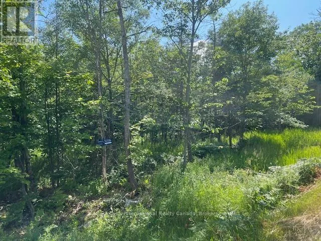 126 HIGHWAY 559