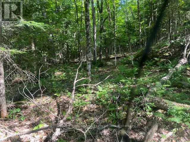126 HIGHWAY 559