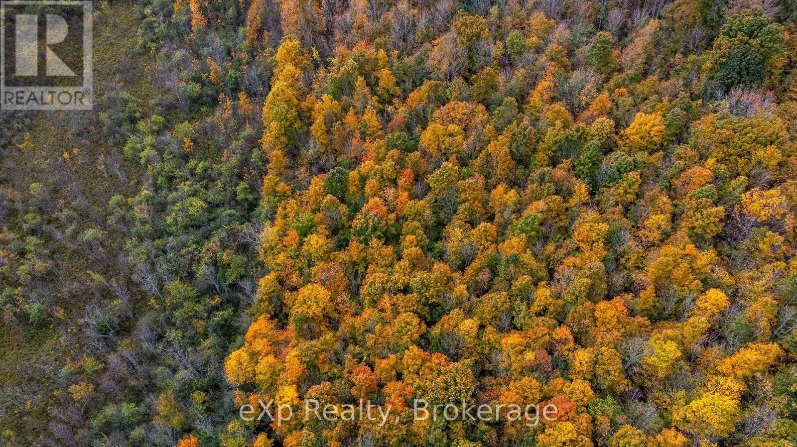 084482 6 SIDE ROAD