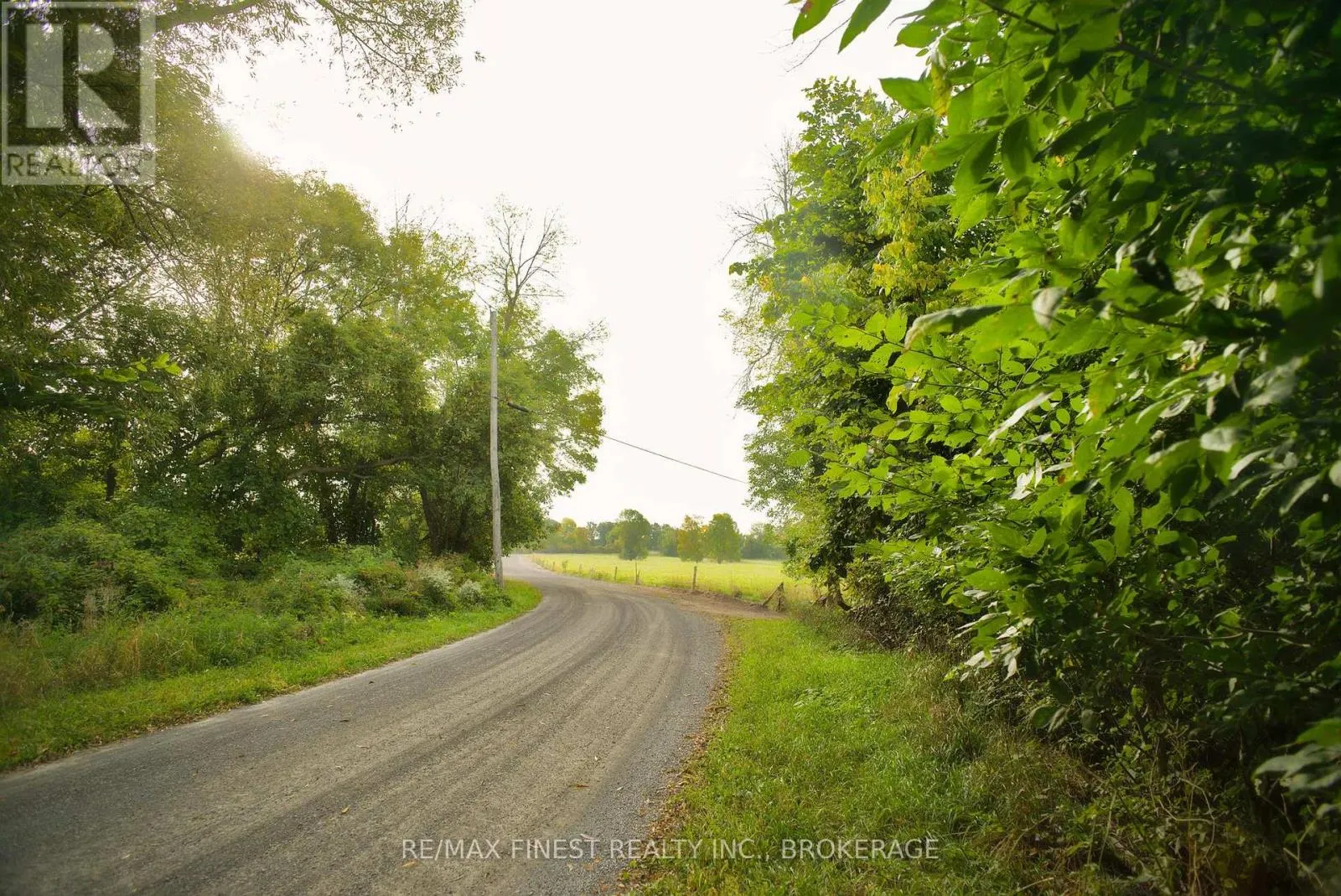 15355 FRONT ROAD