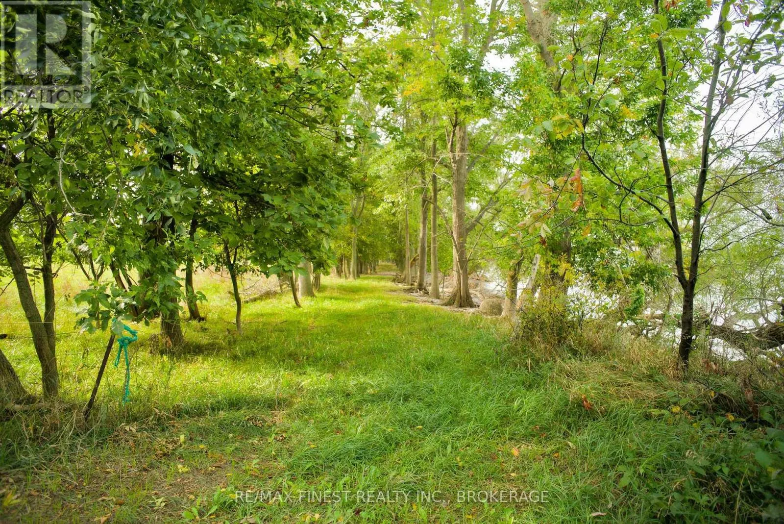 15355 FRONT ROAD