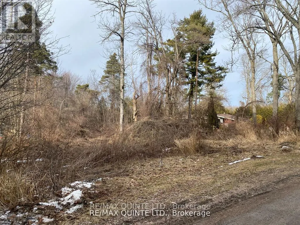 149 EVERGREEN LANE