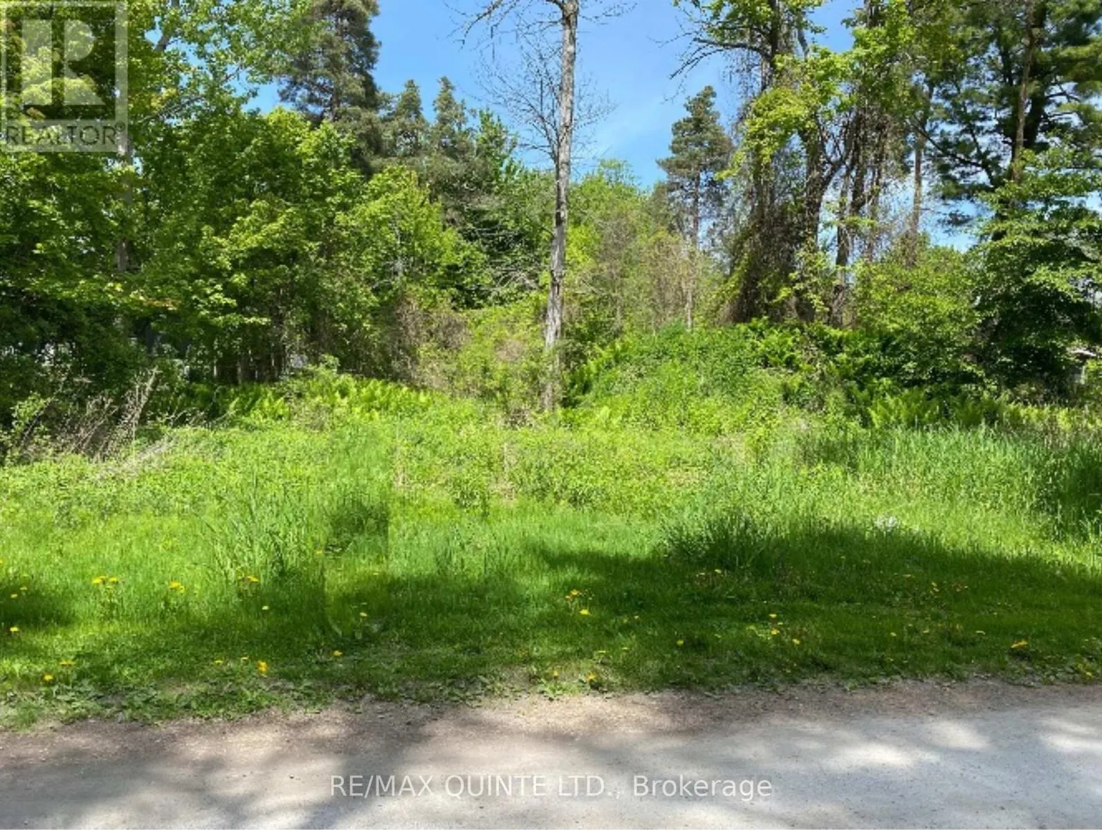 149 EVERGREEN LANE