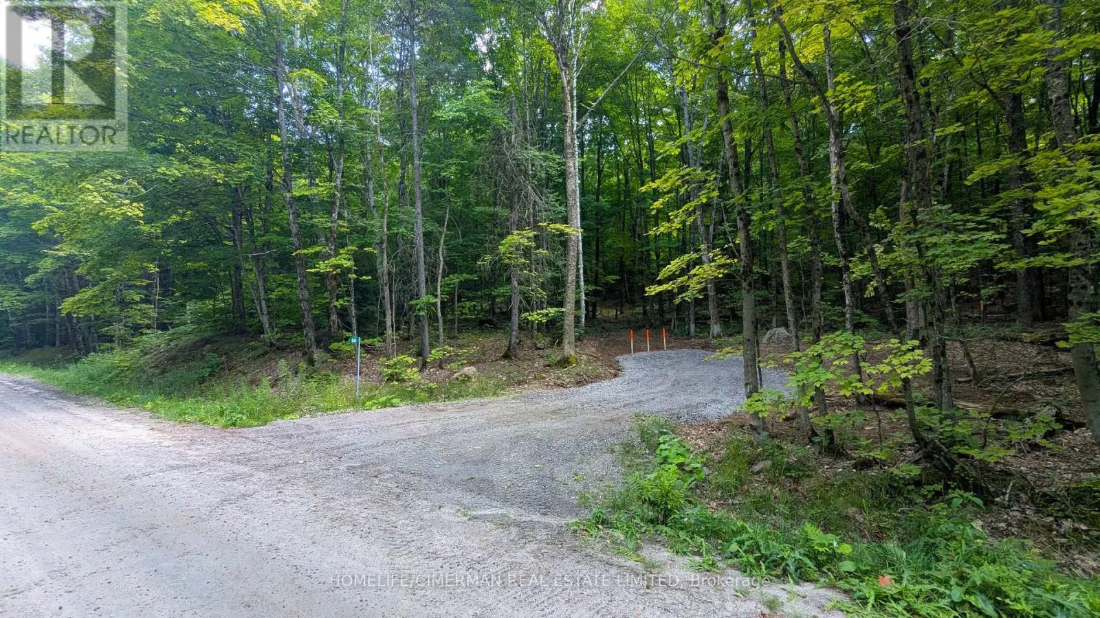 66 MCCAULEY ROAD