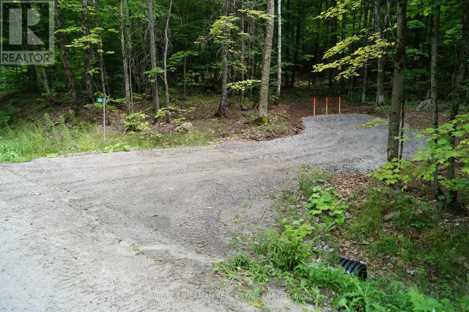 66 MCCAULEY ROAD