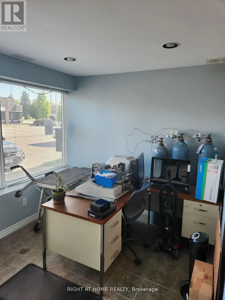 6 - 45 DALKEITH DRIVE