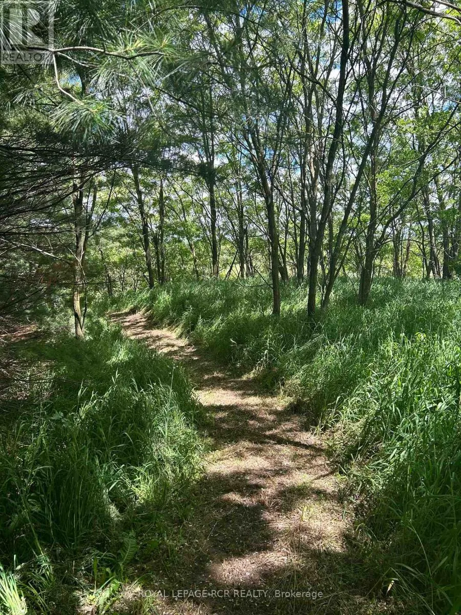 LOT 29 5TH LINE E
