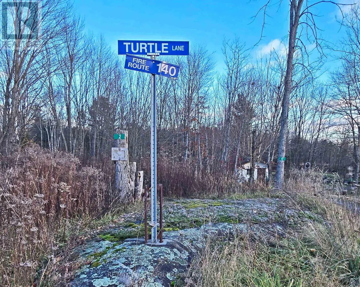 19 TURTLE LANE