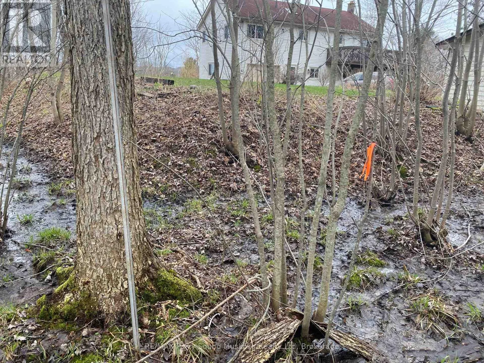 19 TURTLE LANE
