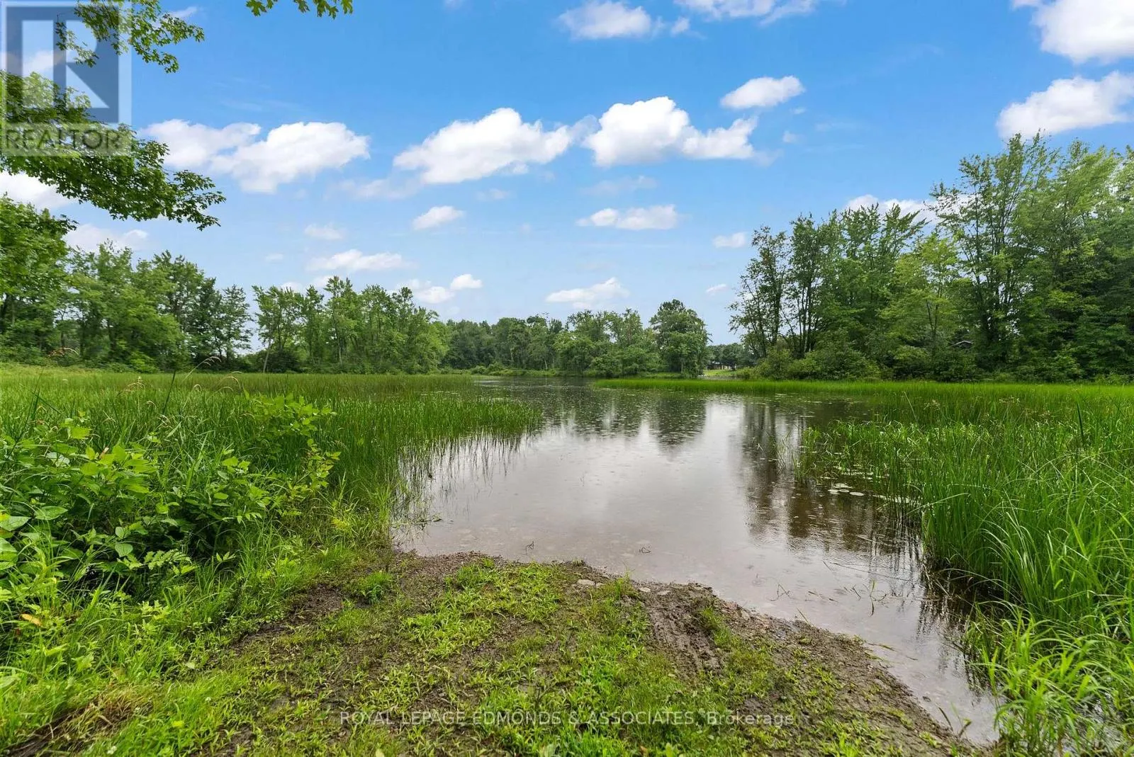 178 PURPLE FINCH TRAIL